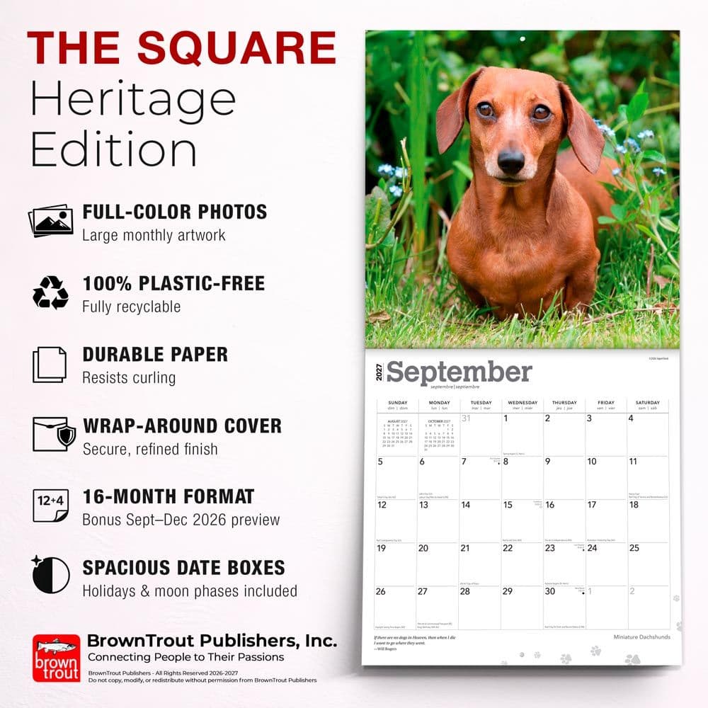 Miniature Dachshunds 2027 Wall Calendar Fifth Alternate Image