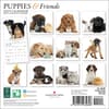 image Puppies and Friends 2025 Mini Wall Calendar First Alternate Image width="1000" height="1000"