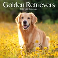 image Golden Retrievers Photo 2026 Wall Calendar_Main Image