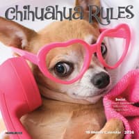 image Chihuahua Rules 2026 Mini Wall Calendar Main Image
