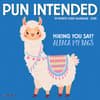 image Pun Intended 2026 Mini Wall Calendar Main Image