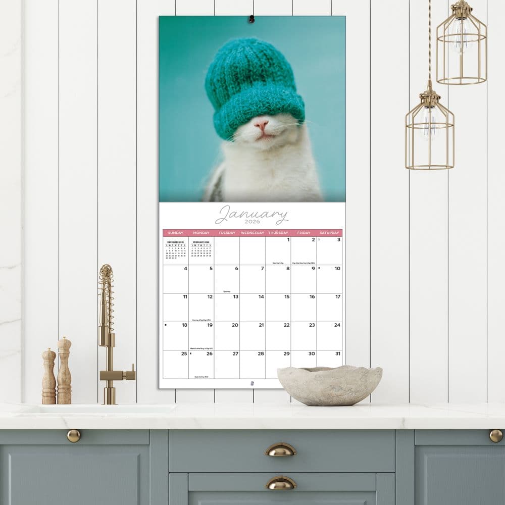 Rachael Hale Loveable Cats 2026 Wall Calendar Fifth Alternate Image