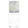 image Georgia OKeeffe 2027 Mini Wall Calendar Fourth Alternate Image