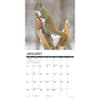 image Squirrels 2025 Wall Calendar