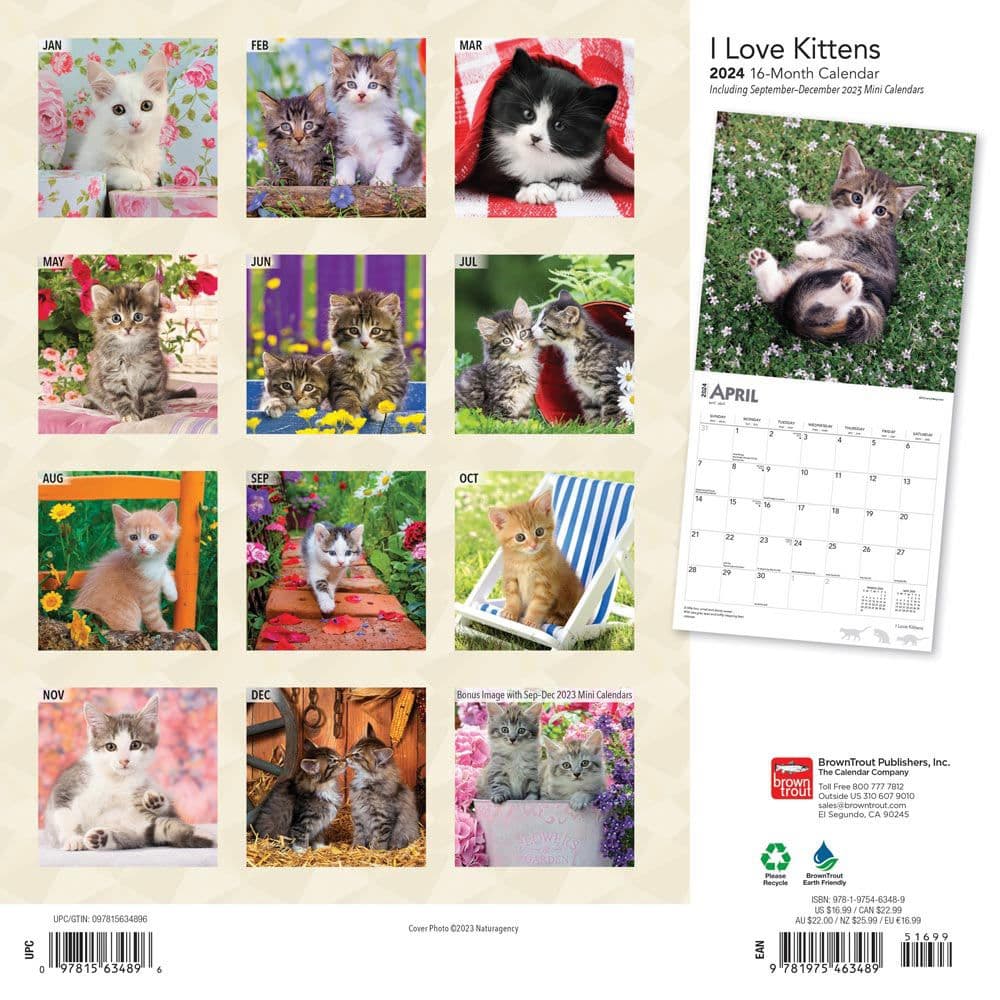 Kittens I Love 2024 Wall Calendar - Calendars.com
