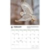 image Owls WWF 2026 Wall Calendar Second Alternate Image