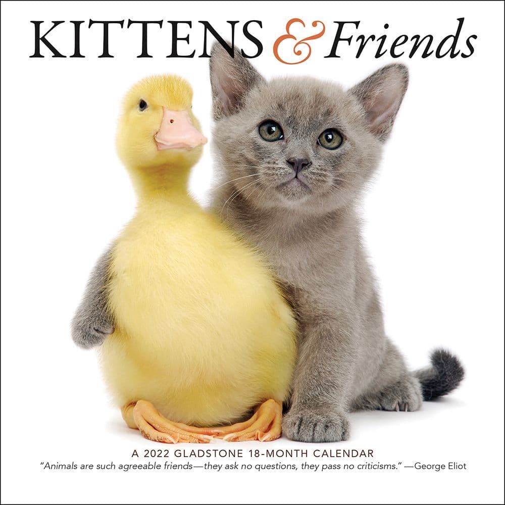 Kittens And Friends 2022 Mini Wall Calendar