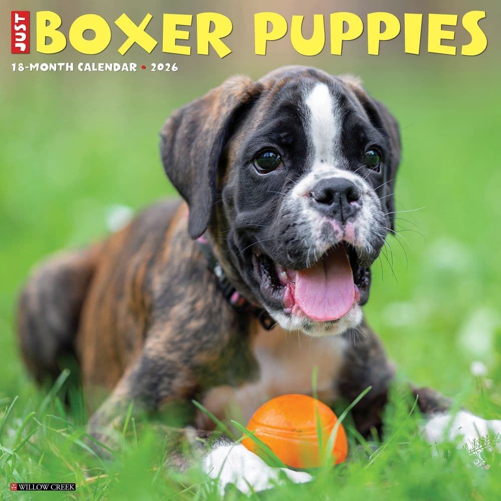 Just Boxer Puppies 2026 Wall Calendar Main Image