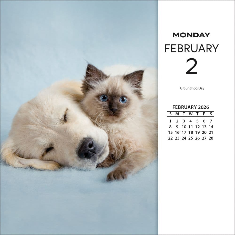 Rachael Hale Loveable Animals 2026 Desk Calendar Fourth Alternate Image