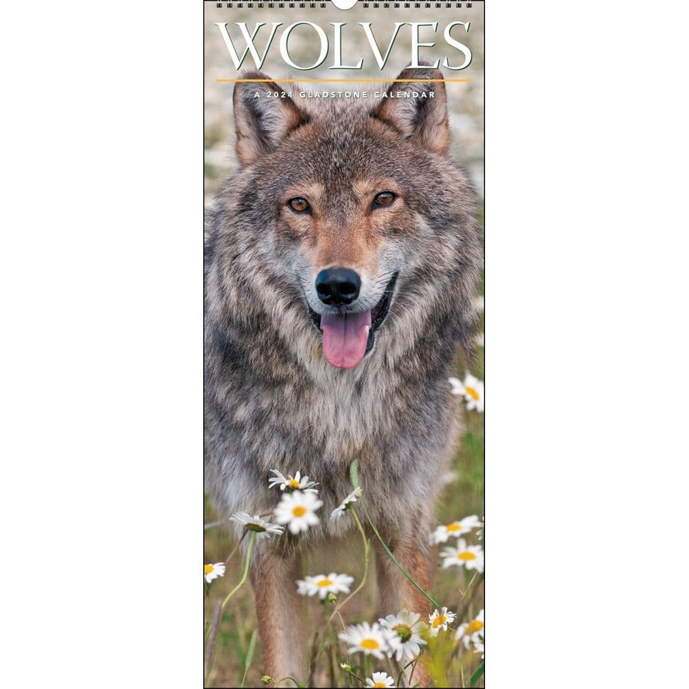 Wolves 2024 Slim Wall Calendar