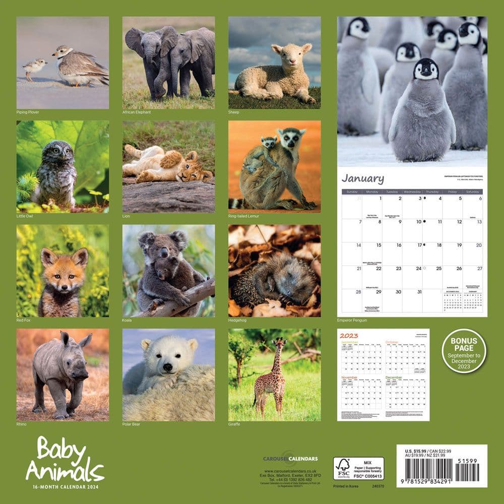 Baby Animals 2024 Wall Calendar - Calendars.com