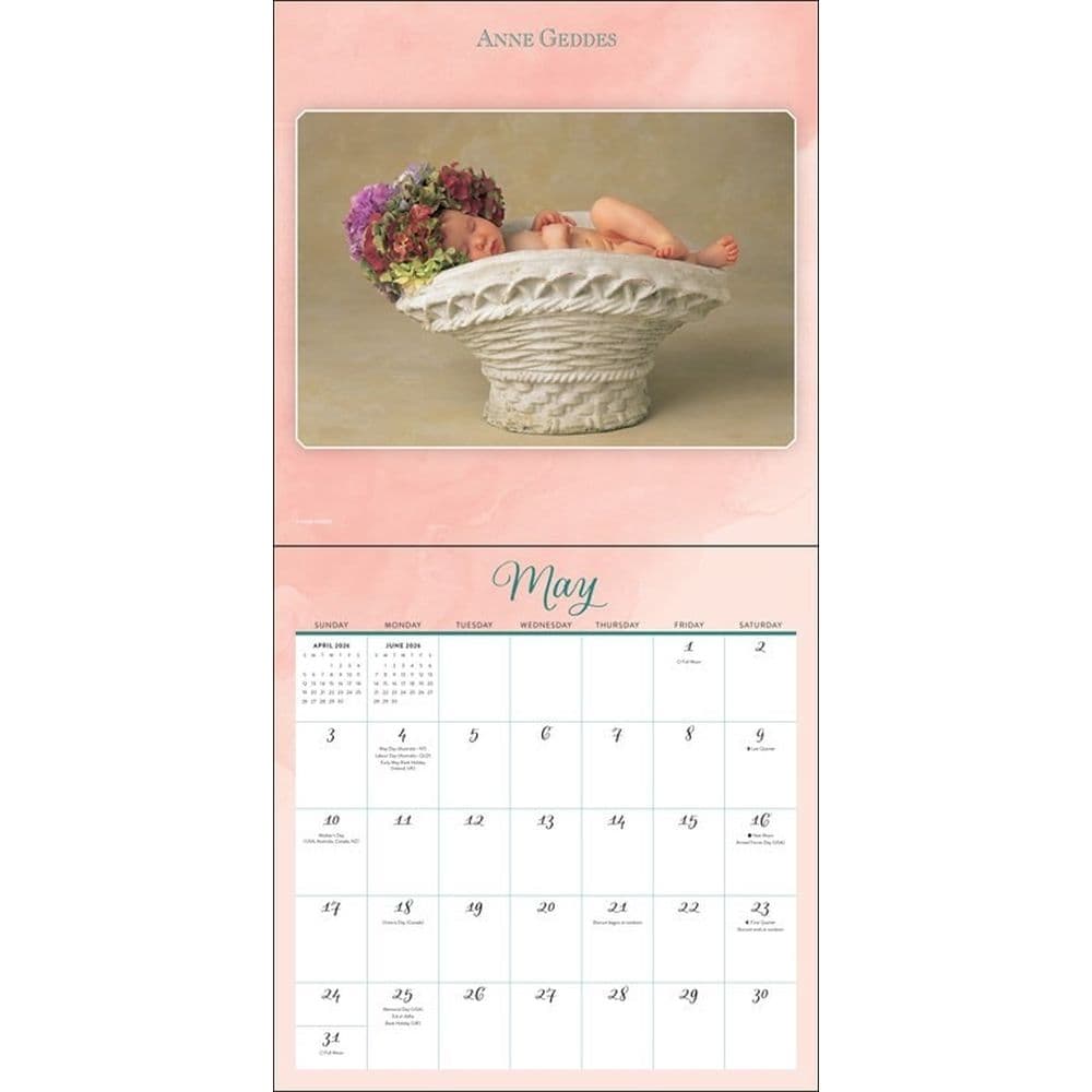 Anne Geddes 2026 Wall Calendar Third Alternate Image