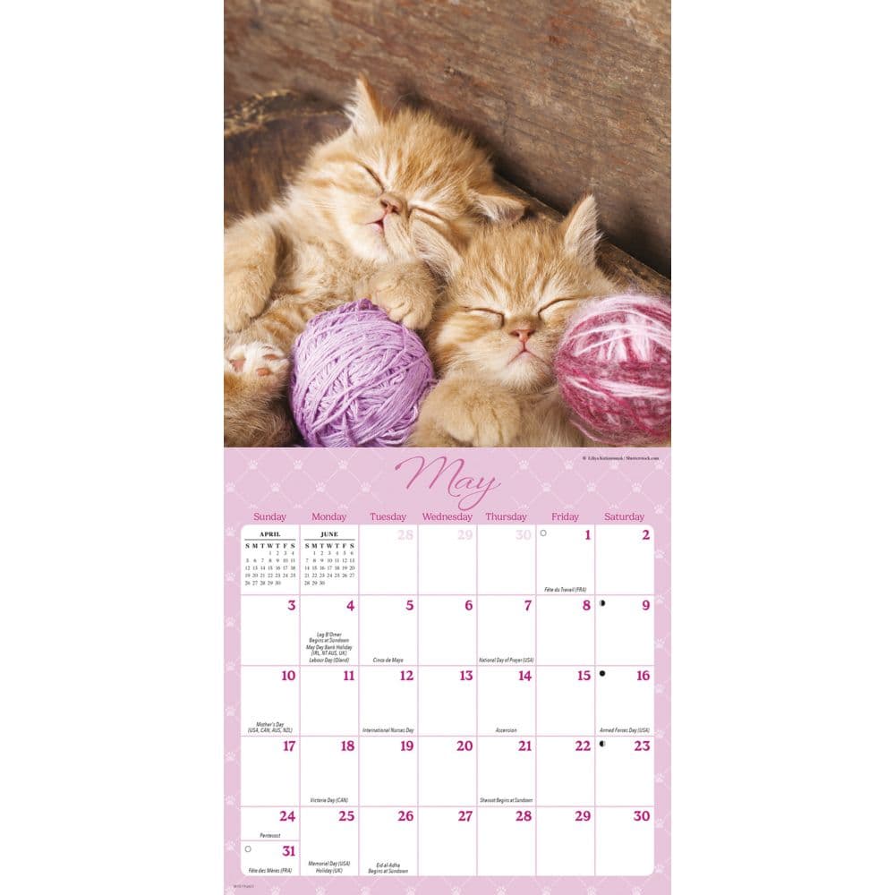 Naptime 2026 Mini Wall Calendar Second Alternate Image