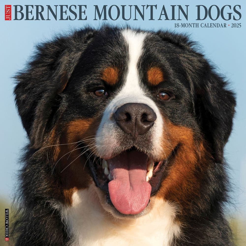 Just Bernese Mountain Dogs 2025 Wall Calendar Main Image