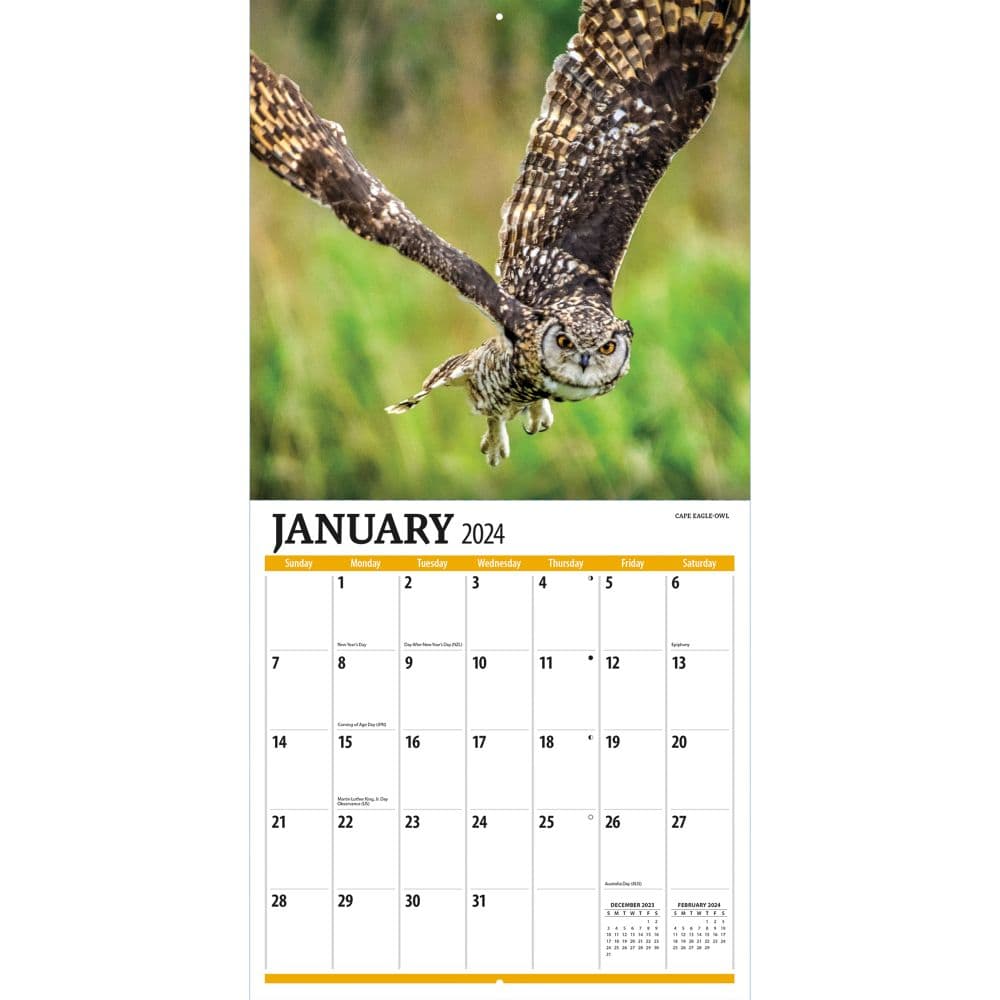 Birds Of Prey Photo 2024 Wall Calendar Alternate Image 2