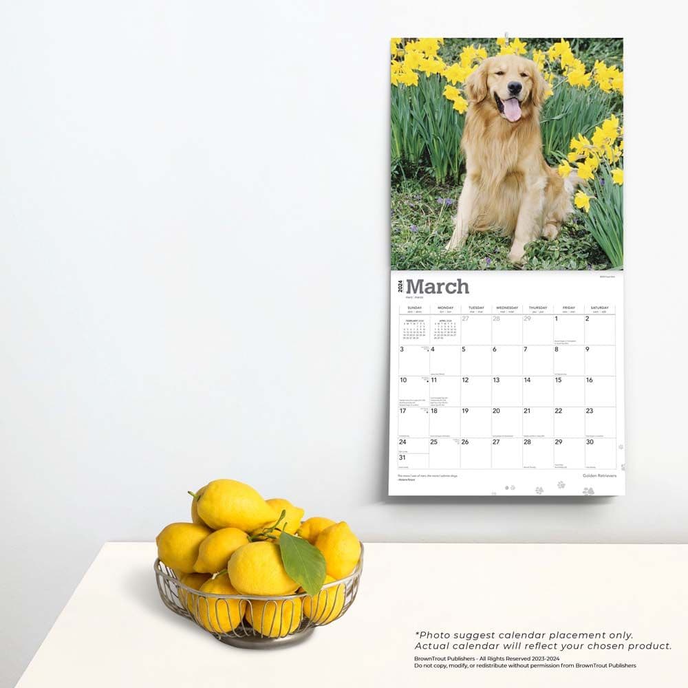 Golden Retrievers  2024 Wall Calendar Alternate Image 3