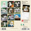 image Bichon Frise Puppies 2024 Mini Wall Calendar First Alternate Image width=&quot;1000&quot; height=&quot;1000&quot;
