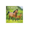 image Horses Photo 2025 Mini Wall Calendar