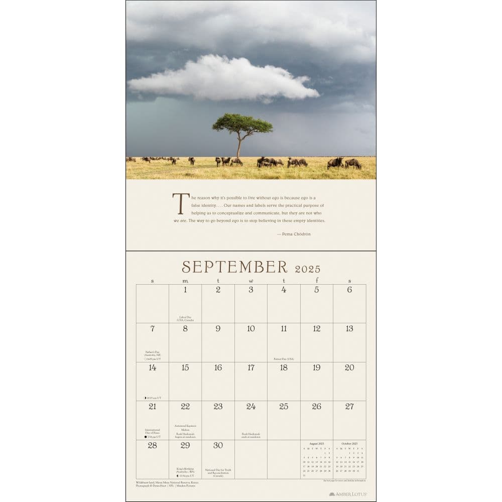 Pema Chodron 2025 Wall Calendar
