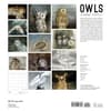image Chappell Owls 2024 Wall Calendar_ALT1
