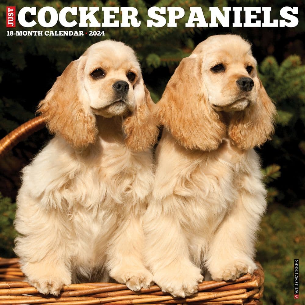 Cocker Spaniels Just 2024 Wall Calendar
