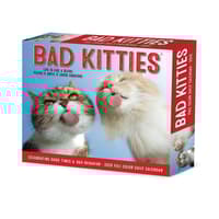 image Bad Kitties 2026 Desk Calendar Main Image