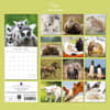 image Hugs 2026 Wall Calendar First Alternate Image