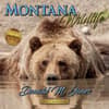 image Montana Wildlife 2025 Wall Calendar_Main Image