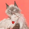 image Two Cats Snuggling Valentine&#39;s Day Card Fifth Alternate Image width=&quot;1000&quot; height=&quot;1000&quot;