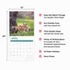 image Baby Foxes 2025 Wall Calendar Fourth Alternate Image width="1000" height="1000"