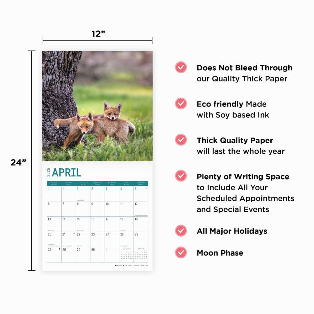 Baby Foxes 2025 Wall Calendar Fourth Alternate Image width="1000" height="1000"