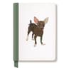 image Painted Chihuahua Journal Main Image