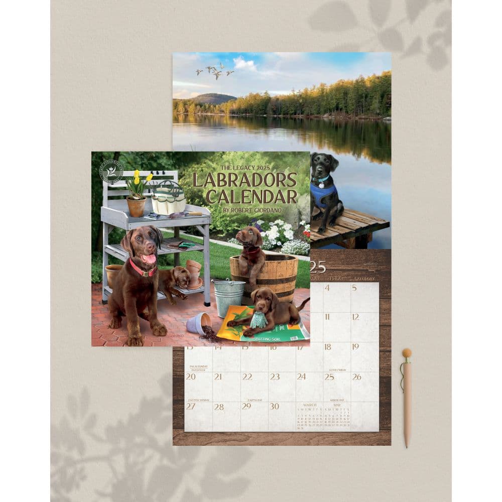 Labradors 2025 Wall Calendar Third Alternate Image width=&quot;1000&quot; height=&quot;1000&quot;