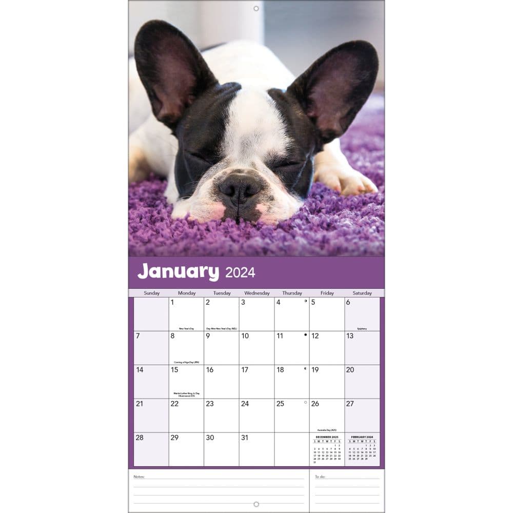Bulldogs 2024 Wall Calendar Alternate Image 2