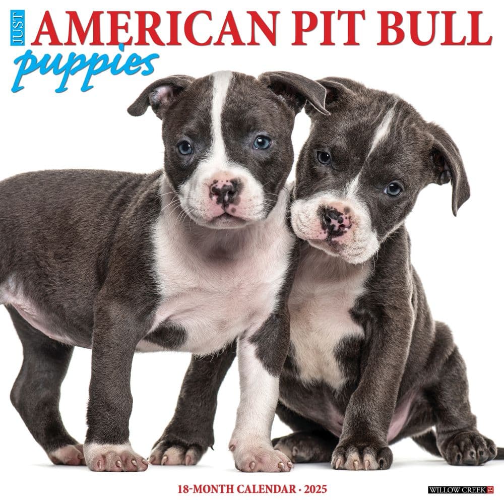 Just Pit Bull Terrier Puppies 2025 Wall Calendar