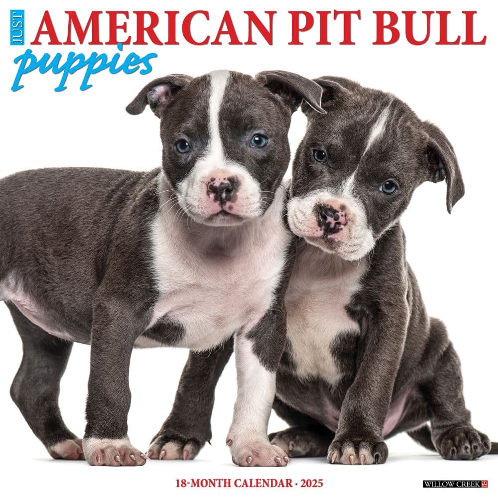 Just Pit Bull Terrier Puppies 2025 Wall Calendar Main Image