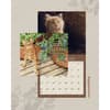 image Kittens 2025 Wall Calendar Third Alternate Image width=&quot;1000&quot; height=&quot;1000&quot;