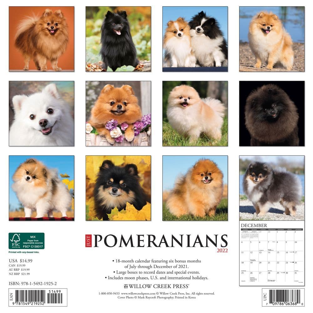 Pomeranians 2022 Wall Calendar - Calendars.com