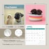 image Pug Puppies 2025 Wall Calendar Seventh Alternate Image