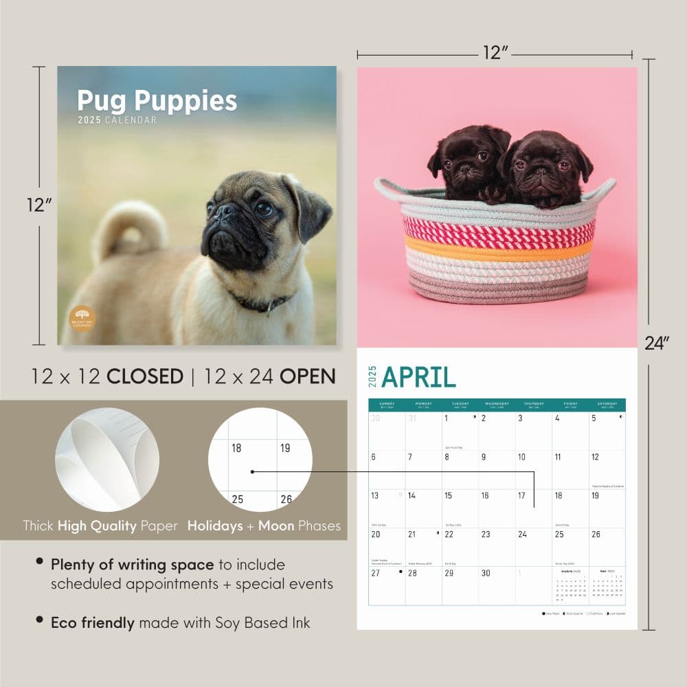 Pug Puppies 2025 Wall Calendar Seventh Alternate Image