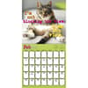 image Snarcatstic 2025 Wall Calendar