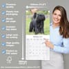 image Bouvier des Flandres 2027 Wall Calendar