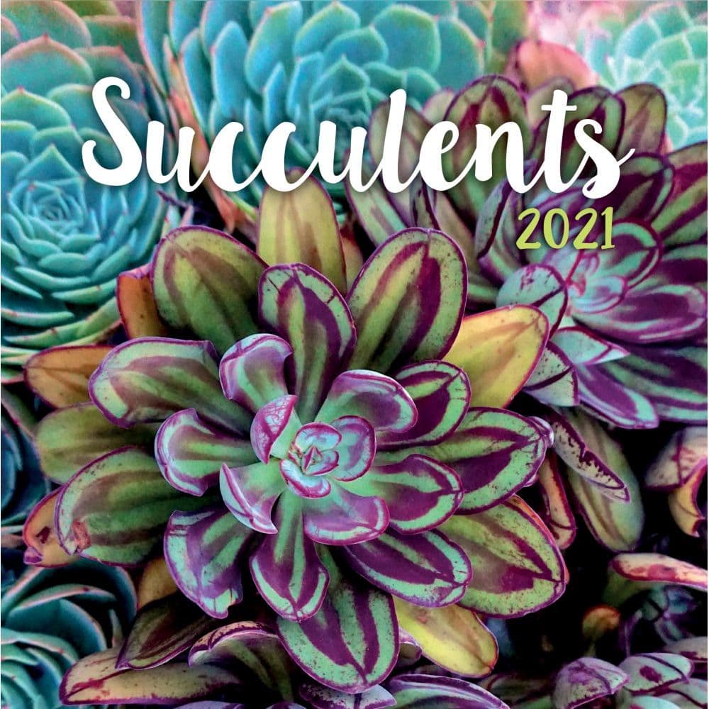 Succulents Wall Calendar