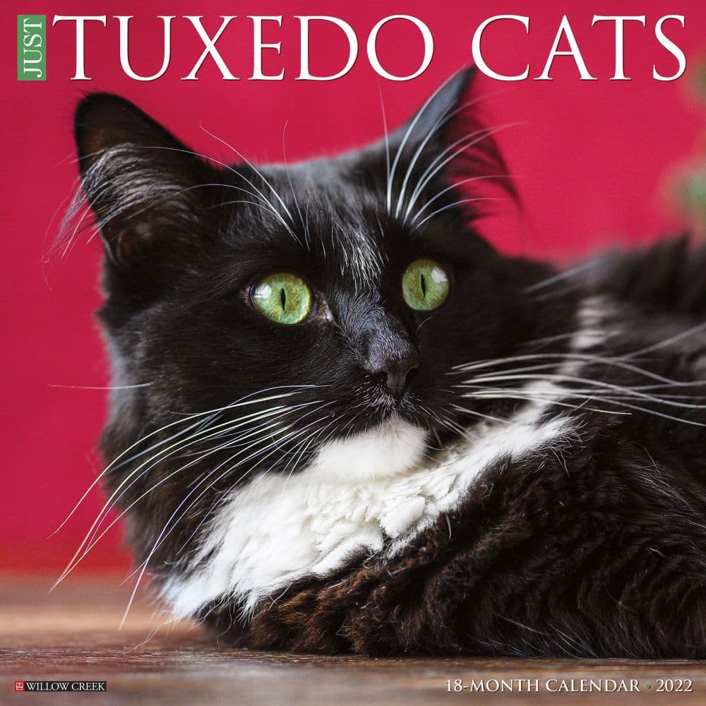 Cats Tuxedo 2022 Wall Calendar