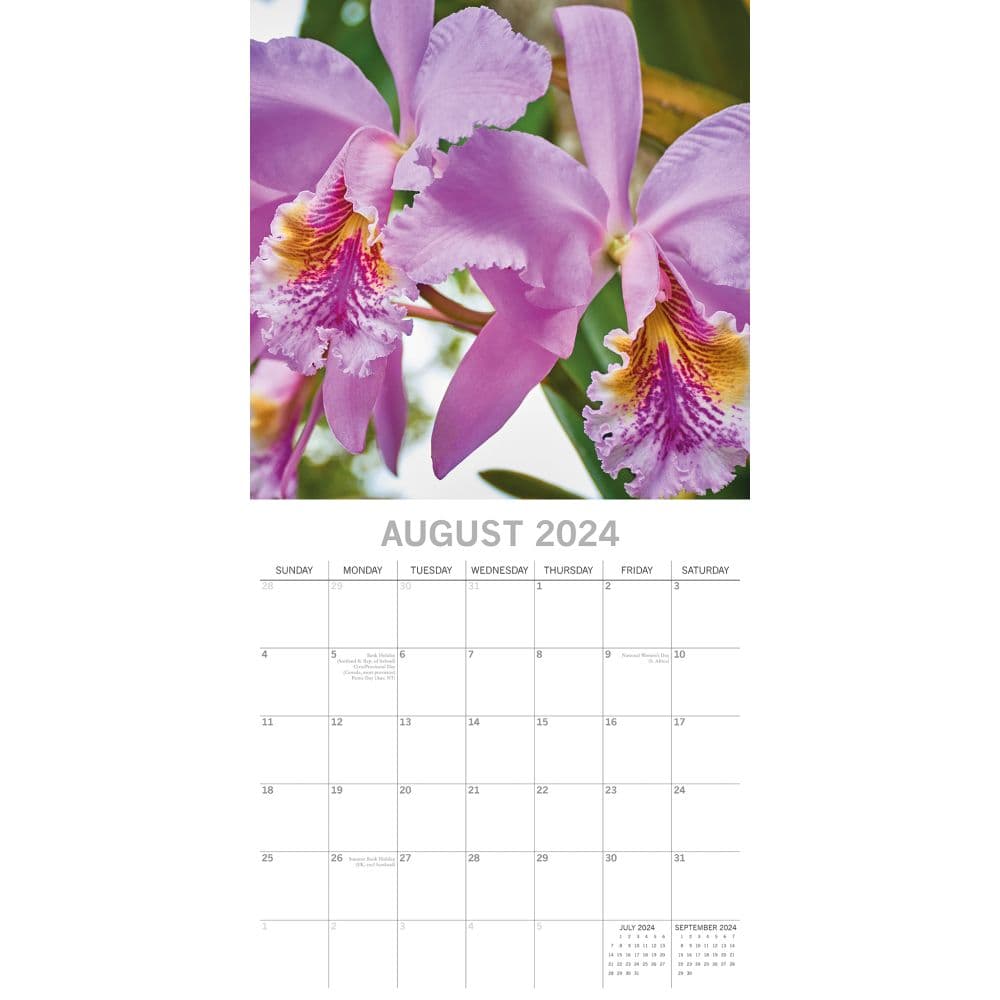 Orchids 2024 Wall Calendar