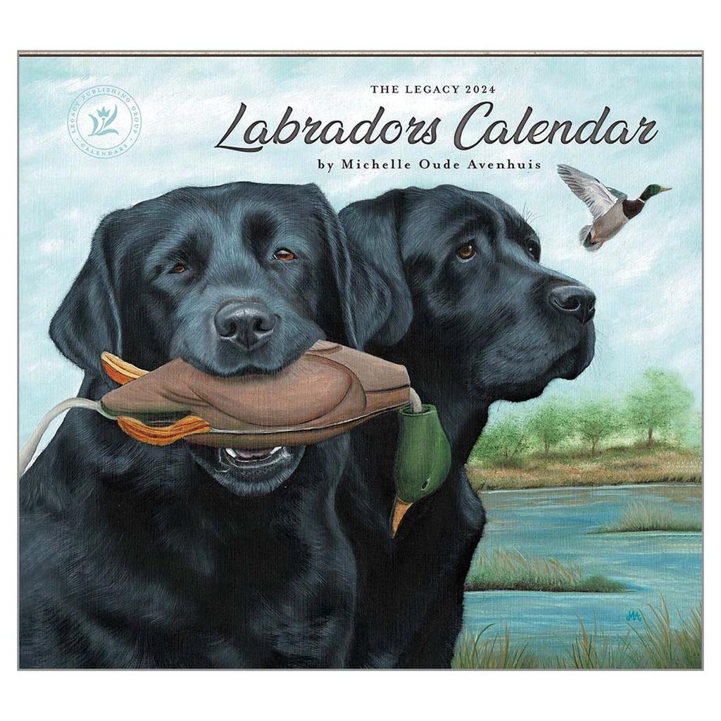 Labradors 2024 Wall Calendar Main Product Image width=&quot;1000&quot; height=&quot;1000&quot;