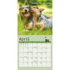 image Dog is Good Fur Wisdom 2026 Mini Wall Calendar Third  Alternate Image