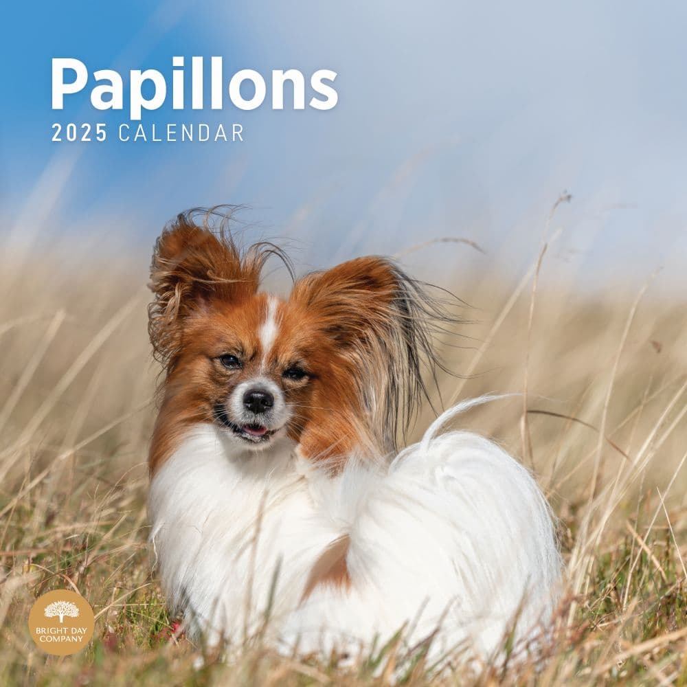 Papillons 2025 Wall Calendar Main Product Image