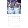 image Kittens Cute 2025 Wall Calendar Third Alternate Image width=&quot;1000&quot; height=&quot;1000&quot;