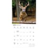 image Monster Bucks 2026 Wall Calendar Third Alternate Image